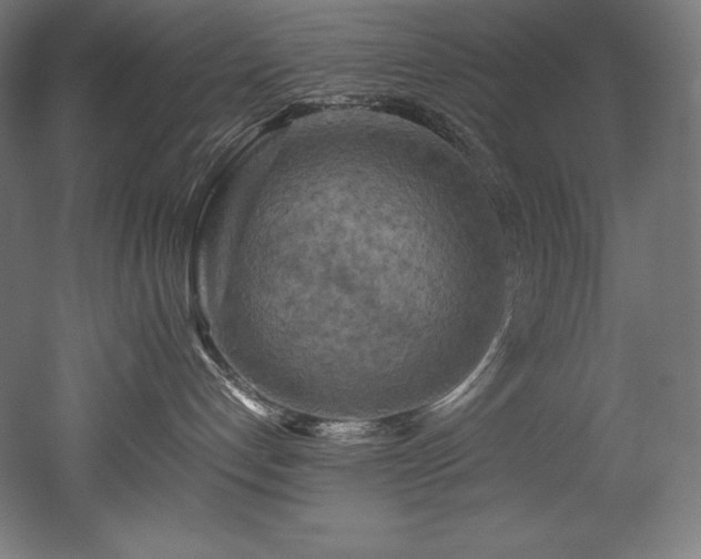 X0000052650192200507011422