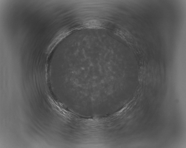 X0000052650194200507011421