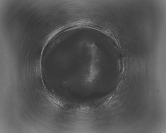 X0000052650196200507011421