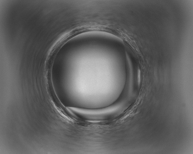 X0000052650197200507011421