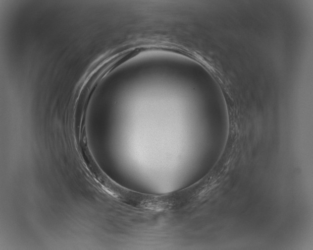 X0000052650199200507011421