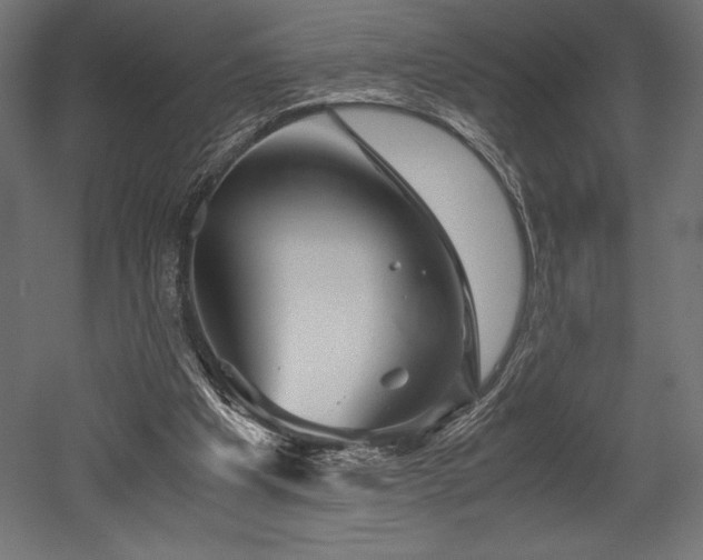 X0000052650201200507011421