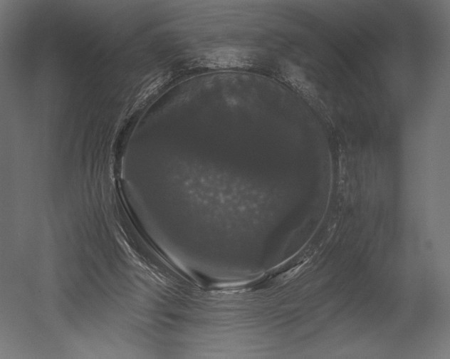 X0000052650202200507011421