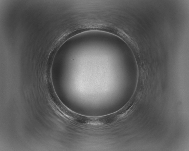 X0000052650203200507011421