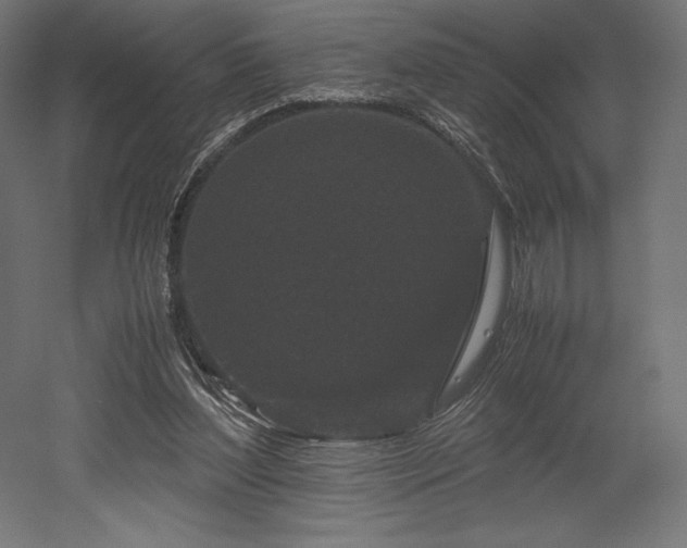 X0000052650204200507011421