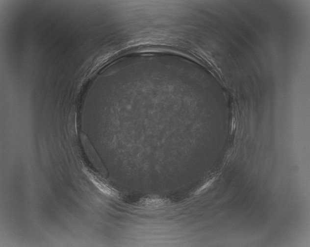 X0000052650205200507011421