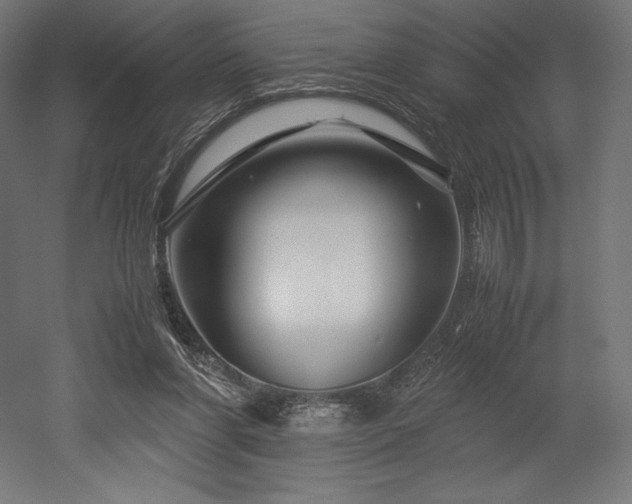 X0000052650206200507011421
