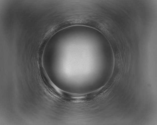 X0000052650207200507011421