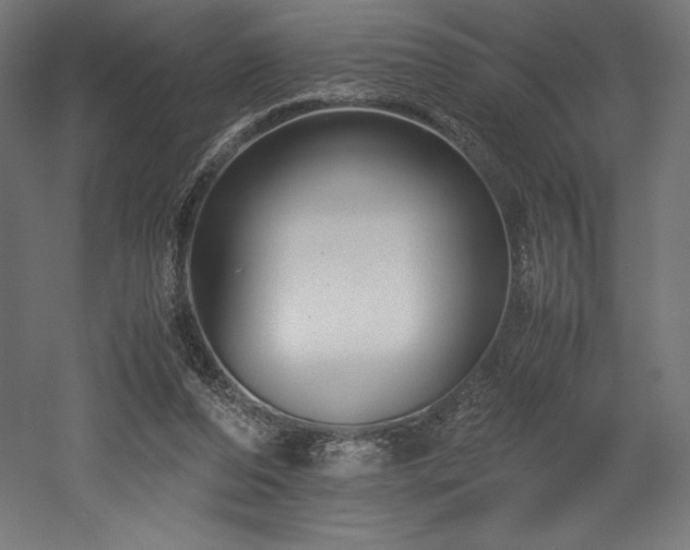 X0000052650208200507011421