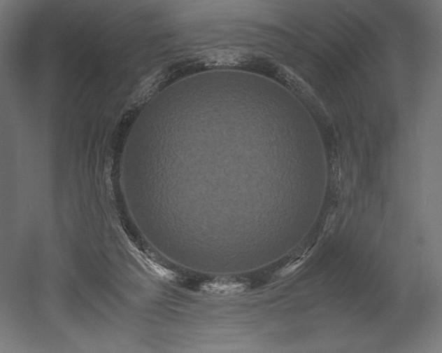 X0000052650209200507011421