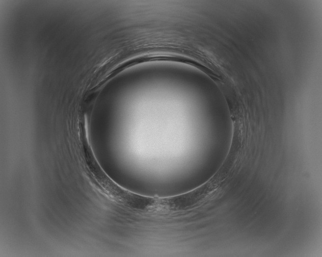X0000052650211200507011421