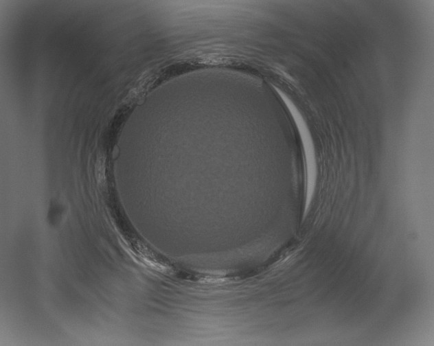 X0000052650213200507011421