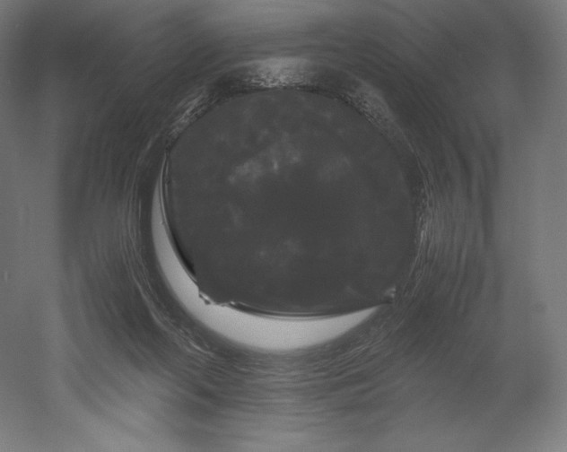 X0000052650214200507011421