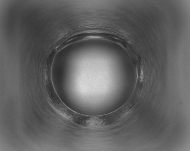 X0000052650215200507011421