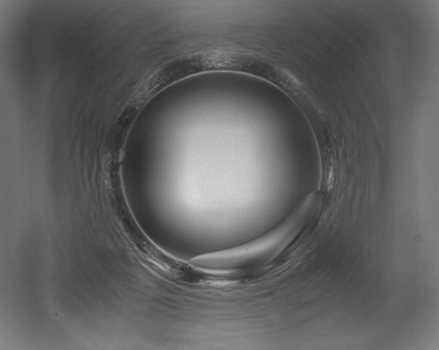 X0000052650217200507011421