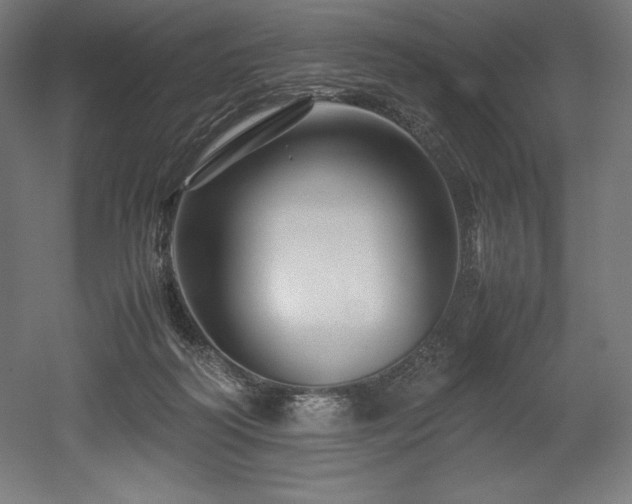 X0000052650218200507011421