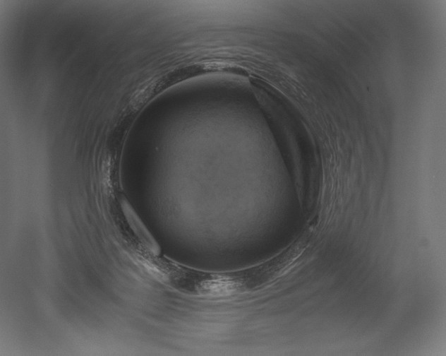 X0000052650219200507011421