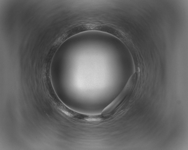 X0000052650221200507011421