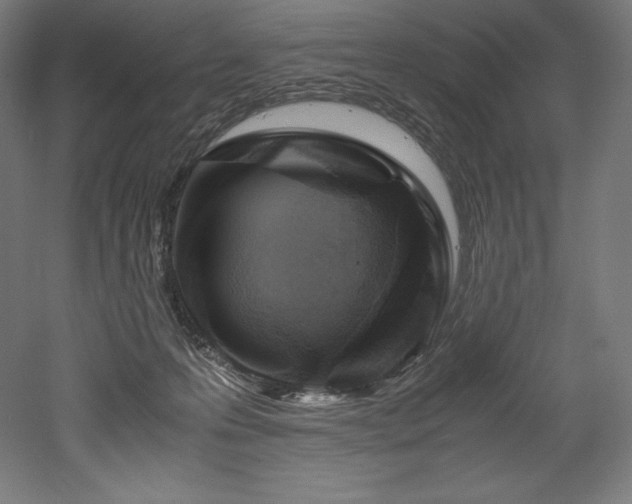 X0000052650223200507011421
