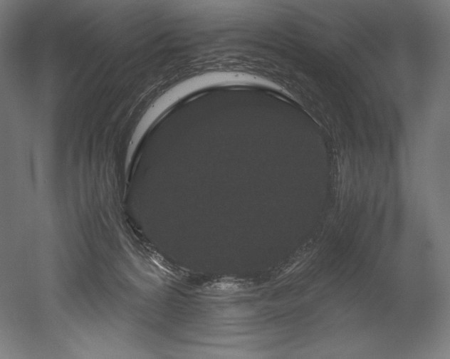 X0000052650224200507011421
