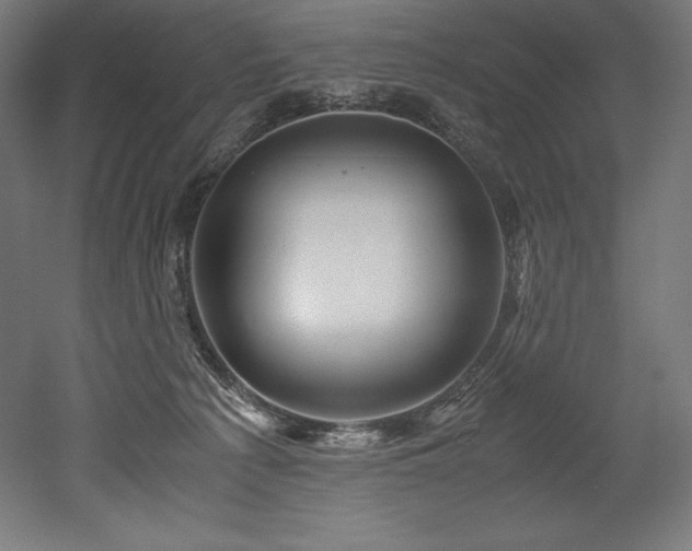 X0000052650225200507011421