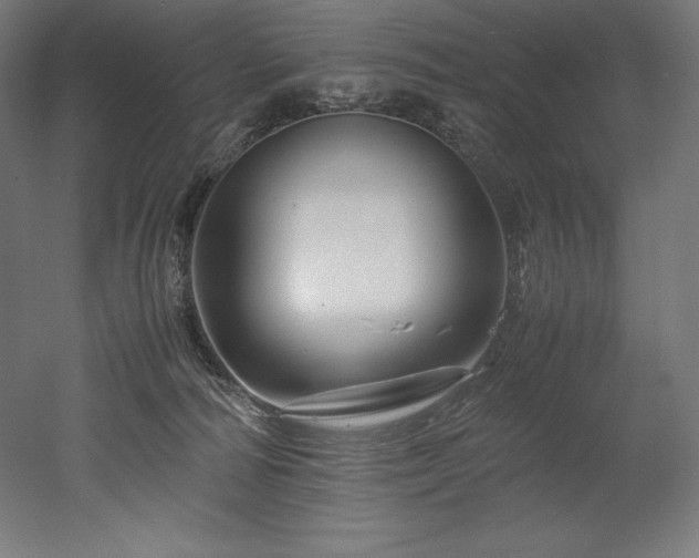 X0000052650226200507011421