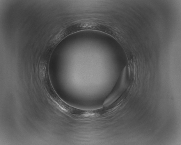 X0000052650227200507011421