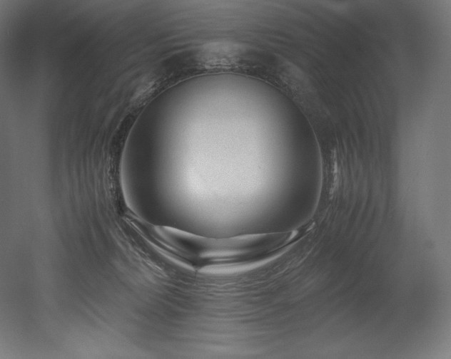 X0000052650228200507011421