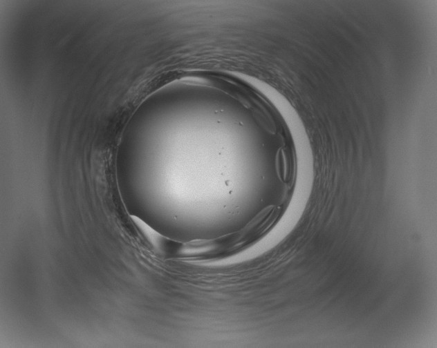 X0000052650229200507011421