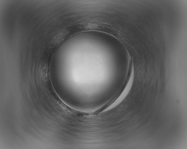 X0000052650230200507011421