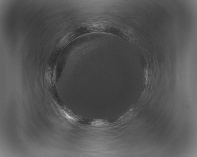 X0000052650231200507011421