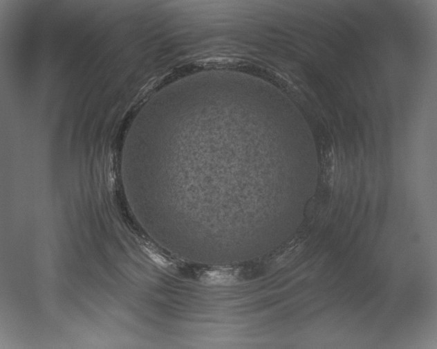 X0000052650232200507011421