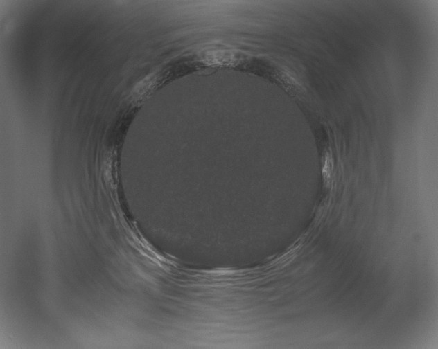 X0000052650233200507011421