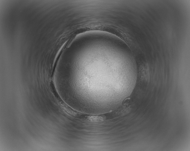 X0000052650234200507011421