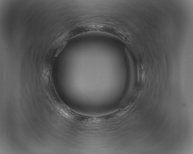 X0000052650235200507011421