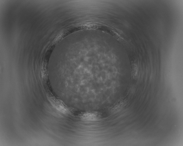 X0000052650236200507011421