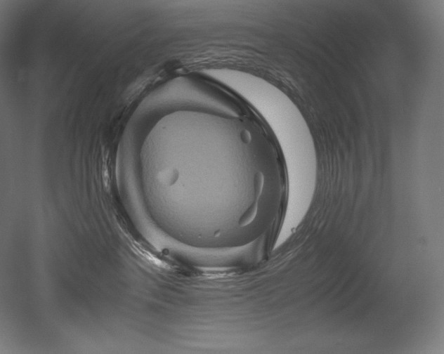 X0000052650237200507011421