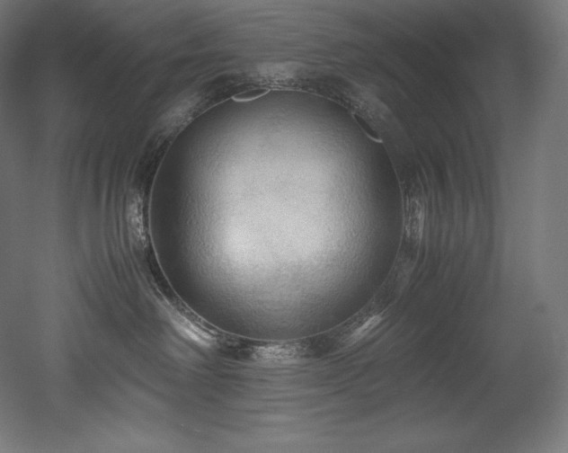 X0000052650238200507011421