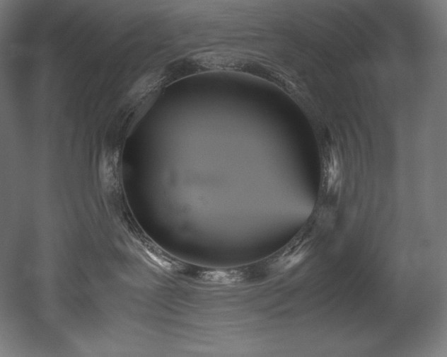 X0000052650239200507011421