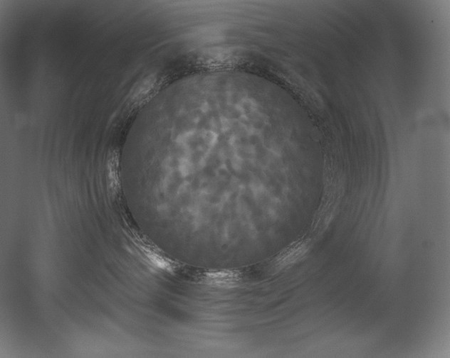 X0000052650240200507011420
