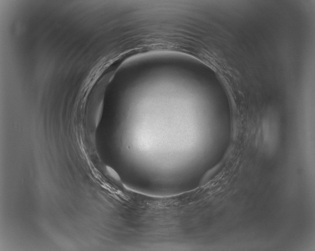 X0000052650241200507011420