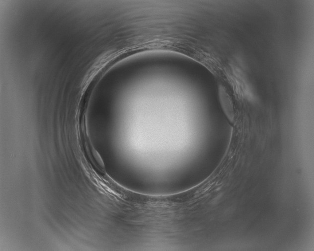 X0000052650242200507011420