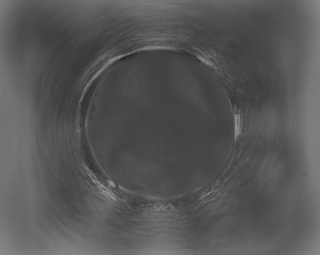 X0000052650243200507011420