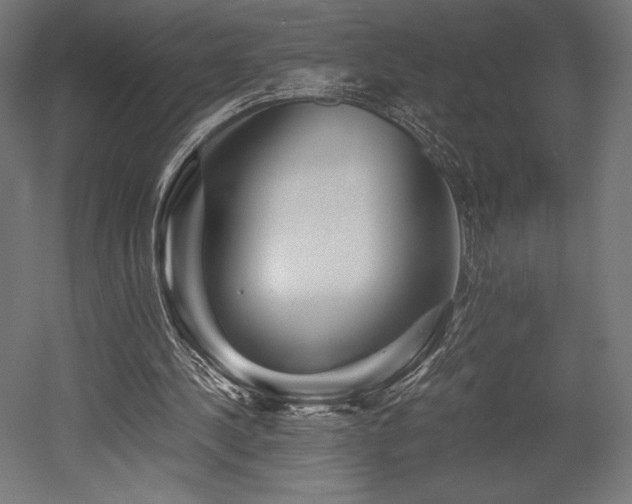 X0000052650244200507011420
