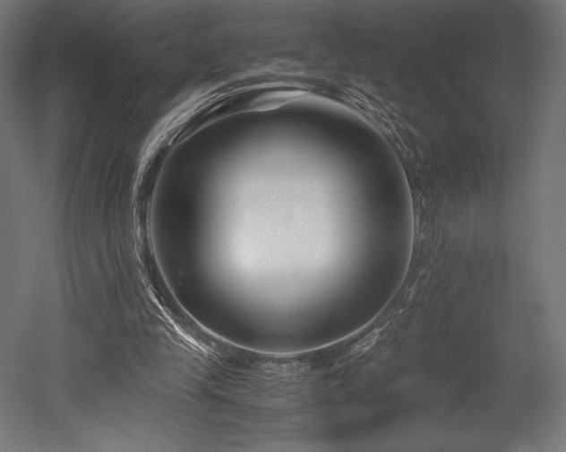 X0000052650245200507011420