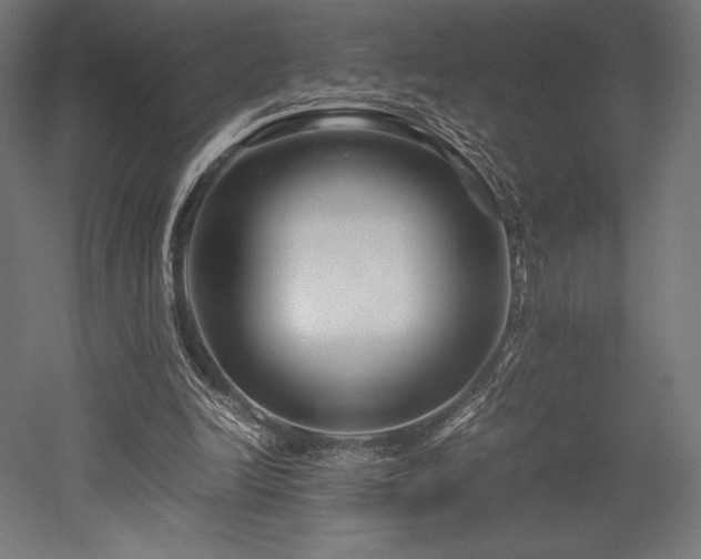 X0000052650246200507011420