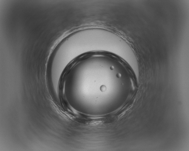 X0000052650248200507011420