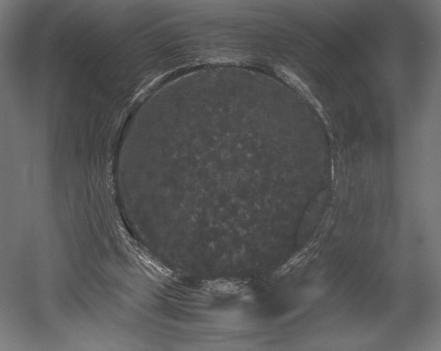 X0000052650249200507011420