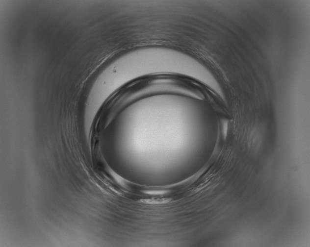 X0000052650251200507011420