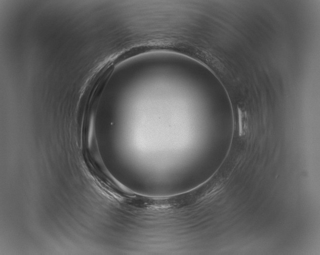 X0000052650252200507011420